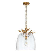 Audubon Park 14" Pendant Ceiling Light by Lucas McKearn