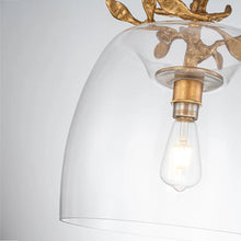 Audubon Park 14" Pendant Ceiling Light by Lucas McKearn