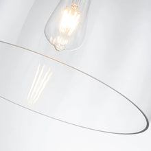 Audubon Park 14" Pendant Ceiling Light by Lucas McKearn