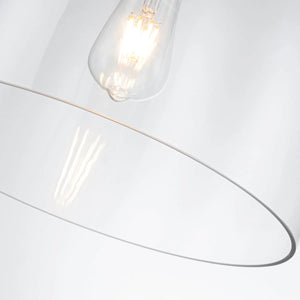 Audubon Park 14" Pendant Ceiling Light by Lucas McKearn