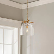 Audubon Park 14" Pendant Ceiling Light by Lucas McKearn