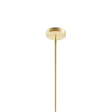 Presidio 5-Light Gold-Black Drum Shade Chandelier Pendant Ceiling Light by Olliix-Hampton Hill