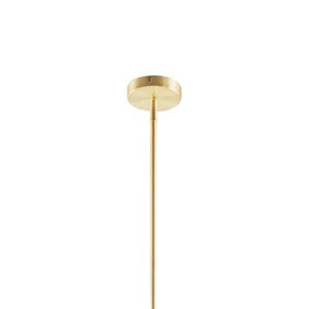 Presidio 5-Light Gold-Black Drum Shade Chandelier Pendant Ceiling Light by Olliix-Hampton Hill